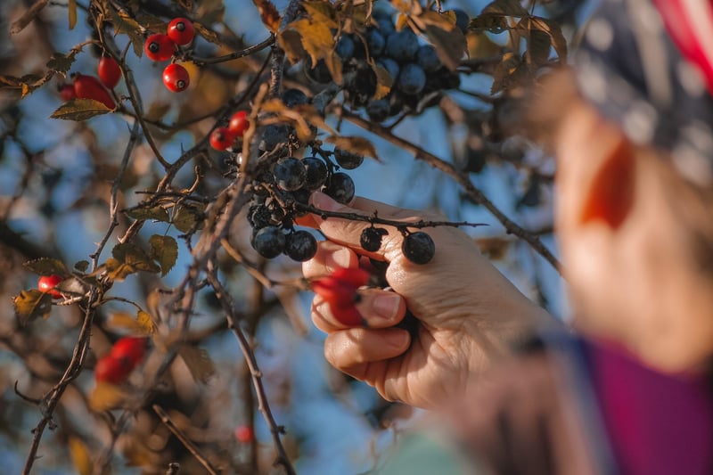 Harvesting Together