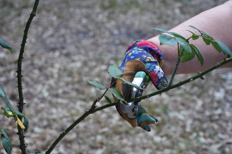 Deadheading